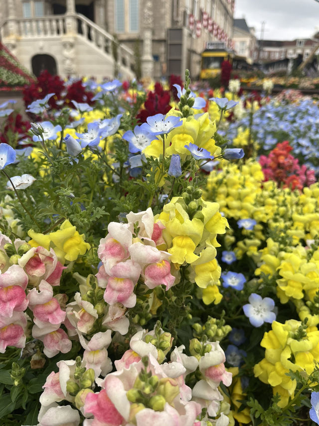 【まるでヨーロッパ】心まで浄化される長崎ハウステンボス🌷