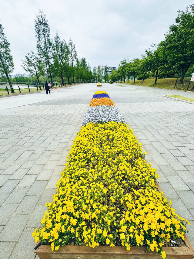 Where Nature Nurtures