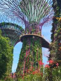 ❄️ A Touch of the Alps in the Tropics! 🇨🇭🌿 Singapore 