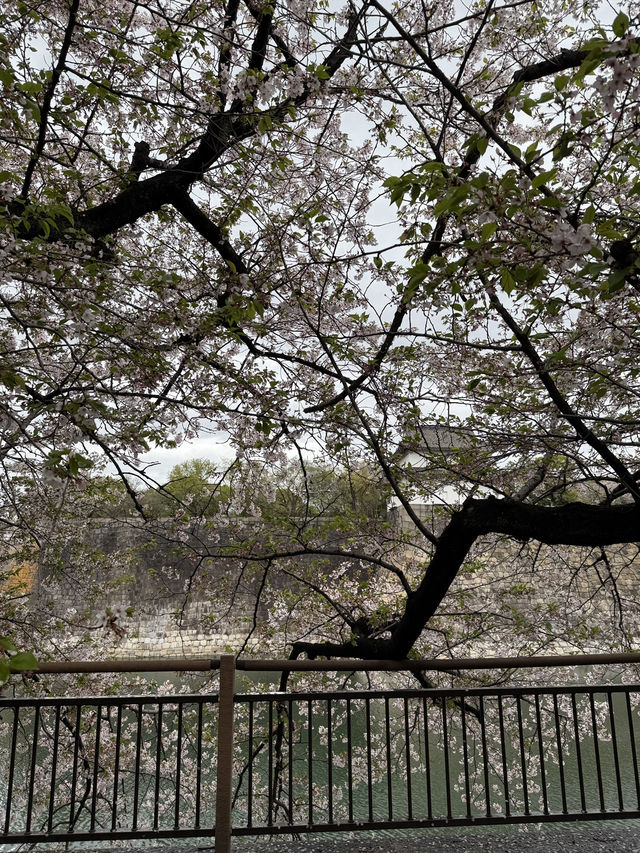 Osaka Castle