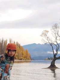 That Wanaka Tree - the lonely creature in the lake