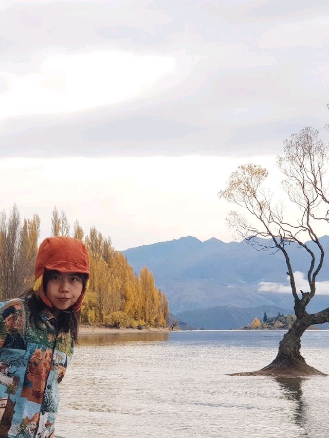 That Wanaka Tree - the lonely creature in the lake