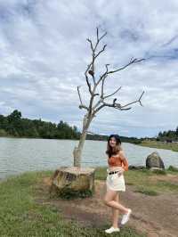 Khao Yai National Park