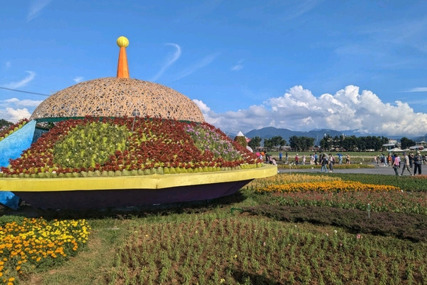 1mi6i224x9164jkog622F_R_600_40