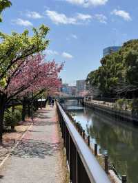 東京小眾景點推薦—清澄白河