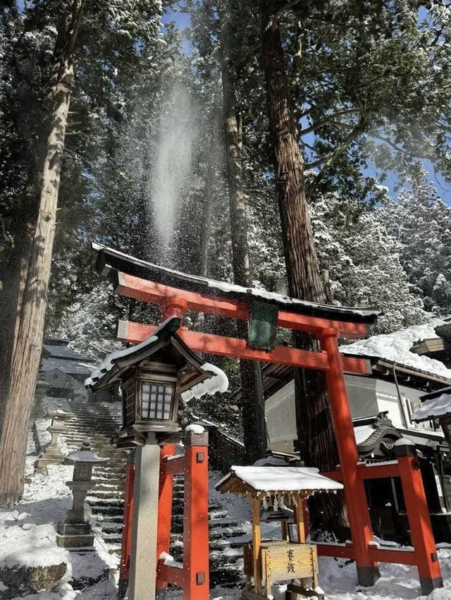 小眾秘境！飛驒高山一日游全攻略✨