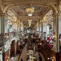 A Weekend at New York Café Budapest: Where Coffee Meets Golden Opulence