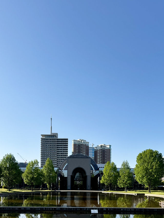 🇯🇵후쿠오카 박물관 공원 산책하고 전시회 즐기기 좋은 곳🏢📖
