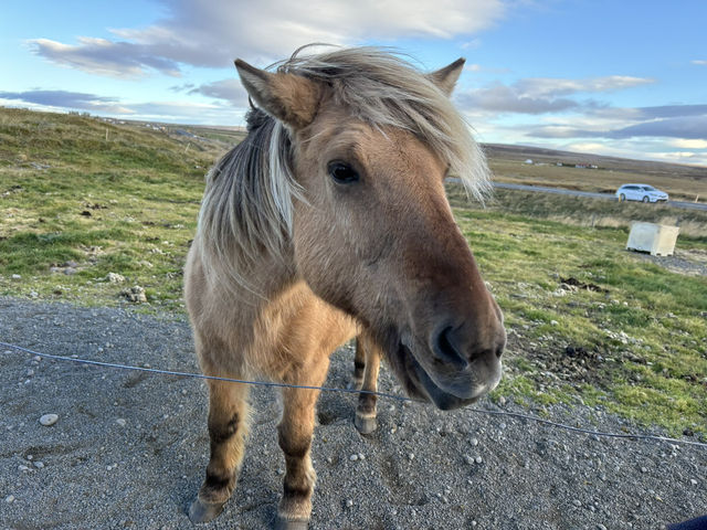 冰島自由行必去景點介紹 ❄️🇮🇸  