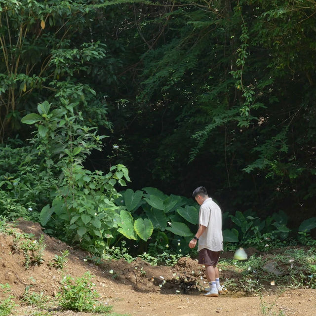 พักใจให้ธรรมชาติบำบัด แล้วไปดูผีเสื้อกัน🌿🦋