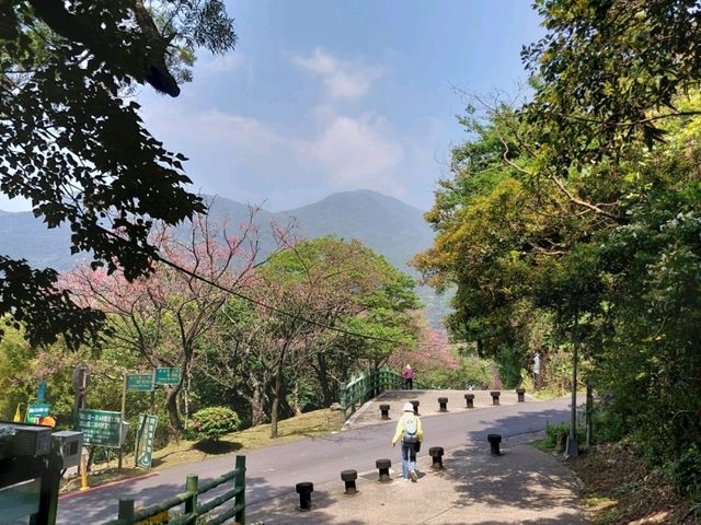 The Stunning views at Yangmingshan National Park, Taipei, Taiwan