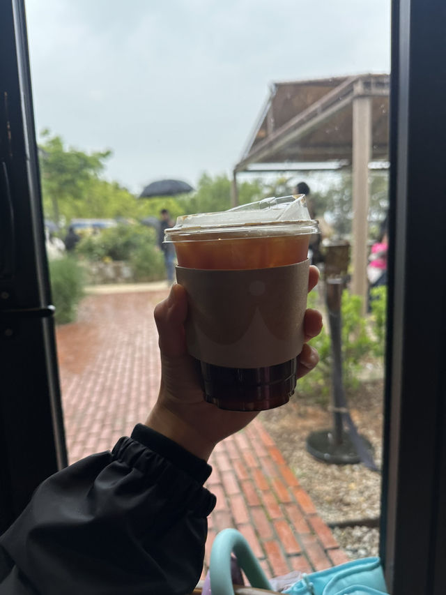 고창 여행