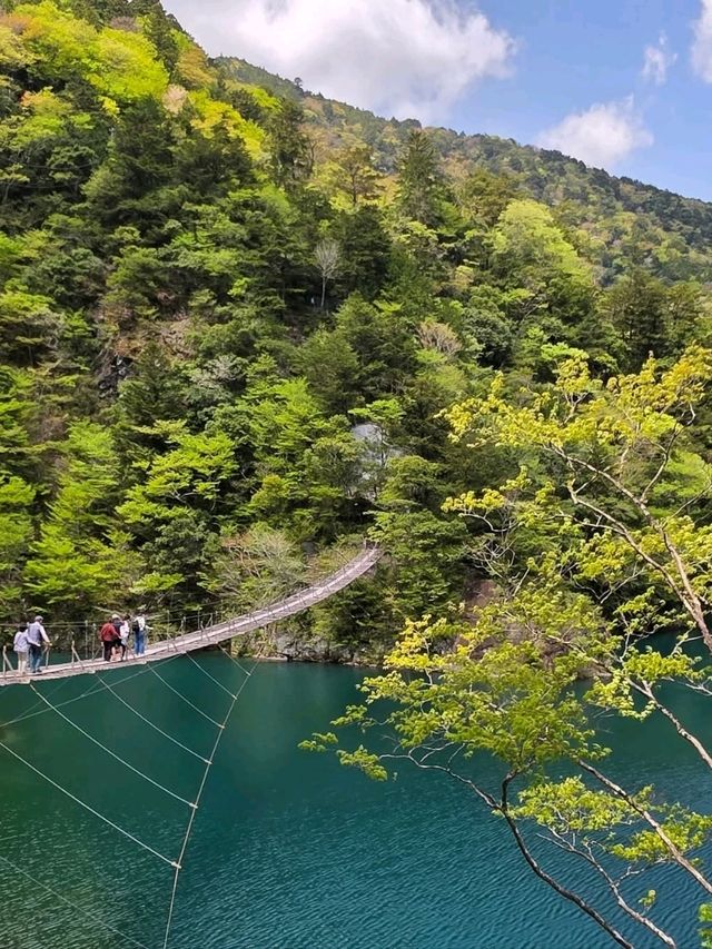The Dream Bridge That’s Kinda Scary (But Worth It)