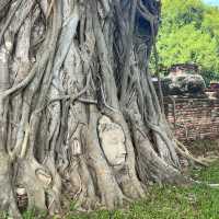 นั่งรถไฟ ปั่นจักรยาน เที่ยวเมืองเก่าอยุธยา