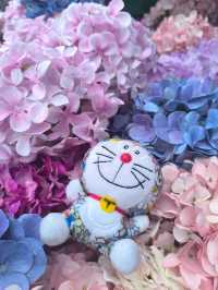 屯門黃金海岸繡球花節