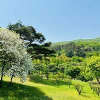  Relaxation at Keumgang Natural Recreation Forest in Sejong