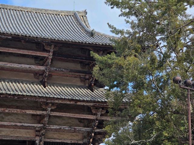 วัด TODAIJI