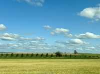 Barossa Valley 