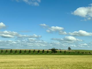 Barossa Valley