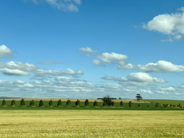 Barossa Valley 