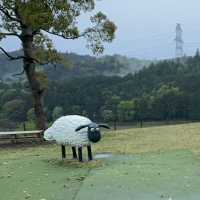 Hidden Gem during Golden Week! Shaun the Sheep Farm & English Garden