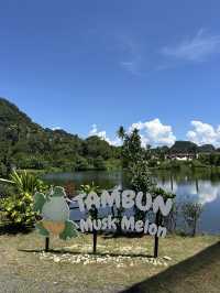 Tranquil agro tourism experience in Ipoh- musk melon eats!