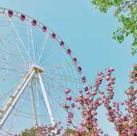 Turning through spring 