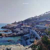 부산 바다 코앞 사찰! [부산여행지🌊🎋]