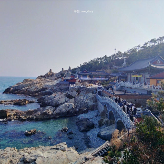 부산 바다 코앞 사찰! [부산여행지🌊🎋]