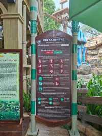 Roaring Timber 🎢 เครื่องเล่นสุดมันส์
