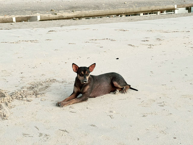 หาดทุ่งวัวแล่น ชุมพร