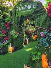 The Grounds 