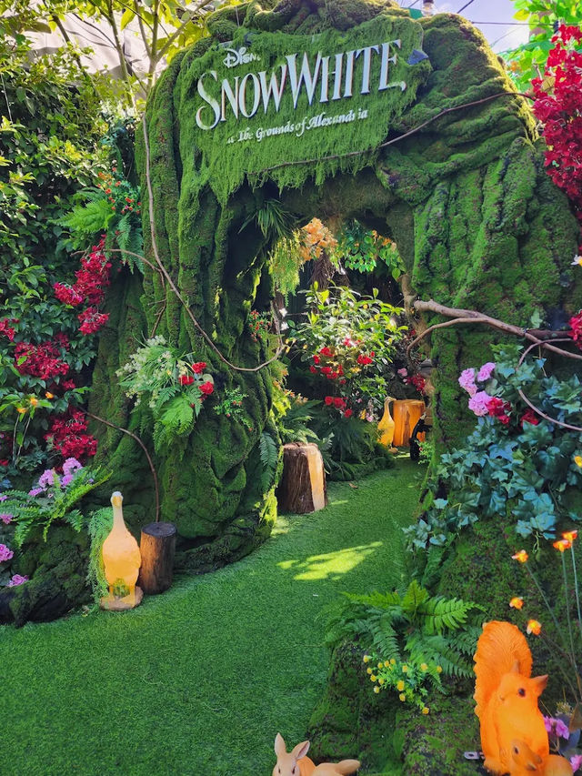 The Grounds 