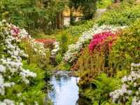 Bodnant Garden – A Glorious Day Among Blossoms and Sunlight