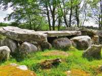 Altamont Gardens – A Romantic Treasure in County Carlow