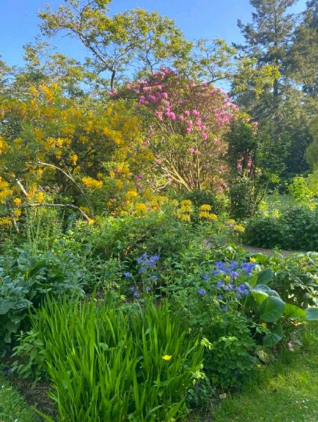 Altamont Gardens – Ireland’s Romantic Garden Jewel in County Carlow