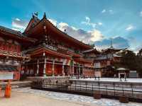 Onomichi: Petal Paths and Sea Views
