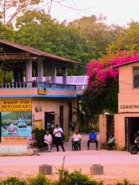 Premium accommodation in Chitwan area