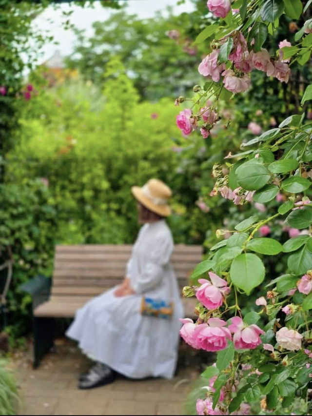 横浜🌹素敵な癒しのスポット🌹港の見える丘公園🥰