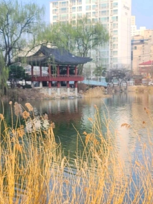 이천 천연온천수물이좋은 💚미란다호텔