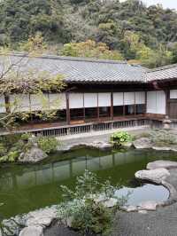 美麗的日本庭園仙巖園
