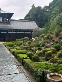 Hanging Out at Tofukuji 