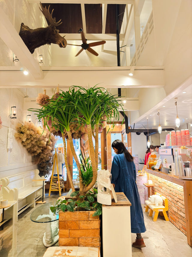 【札幌】人魚のカップが可愛いい本格派なコーヒースポット☕️