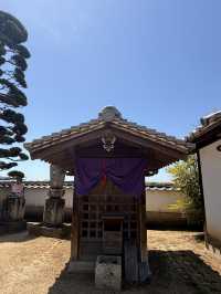 岡山｜寂靜無人的寶壽山觀龍寺 見證東密與神道分合的寺院