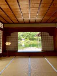 A Day of Quiet Beauty in Fukui