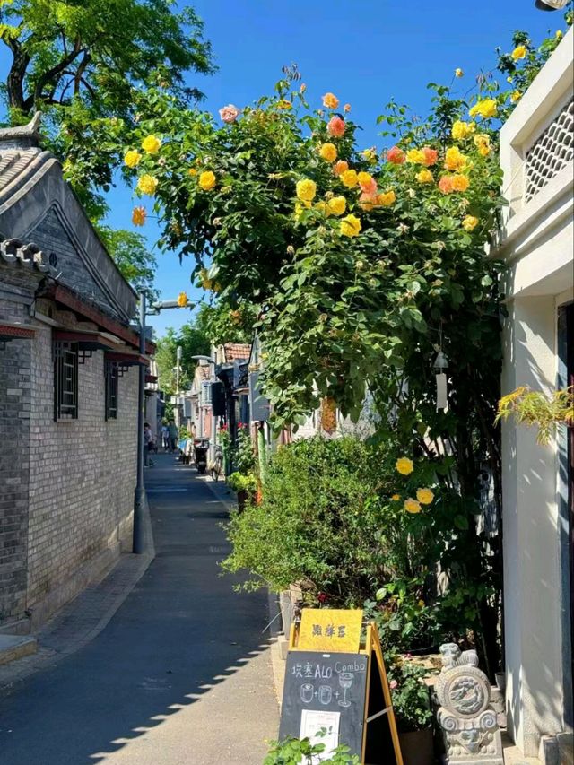 Beijing's Living Lanes: The Charm of Hutong Life