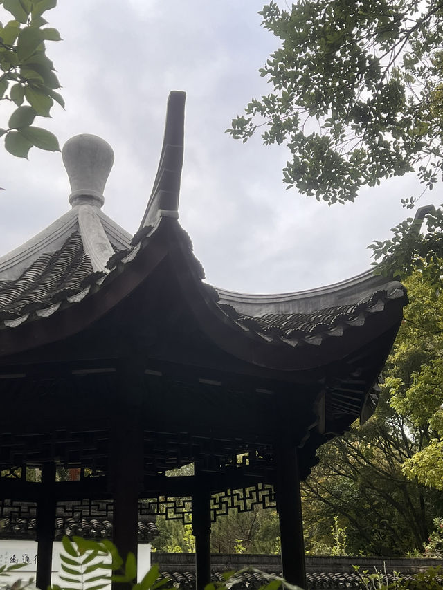 深圳國際園林花卉博覽園——不用花錢的好去處