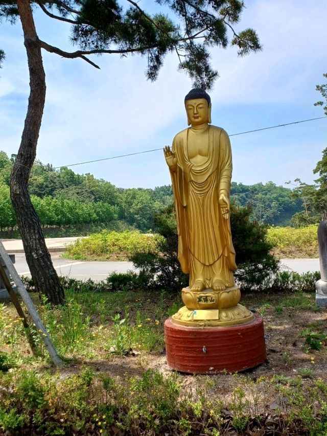 평화로운 공간, 영천 만불사