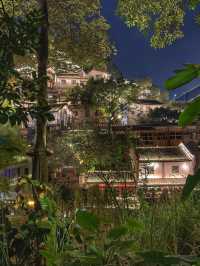 Chongqing’s Secret Maze: A Night Lost in 下浩里