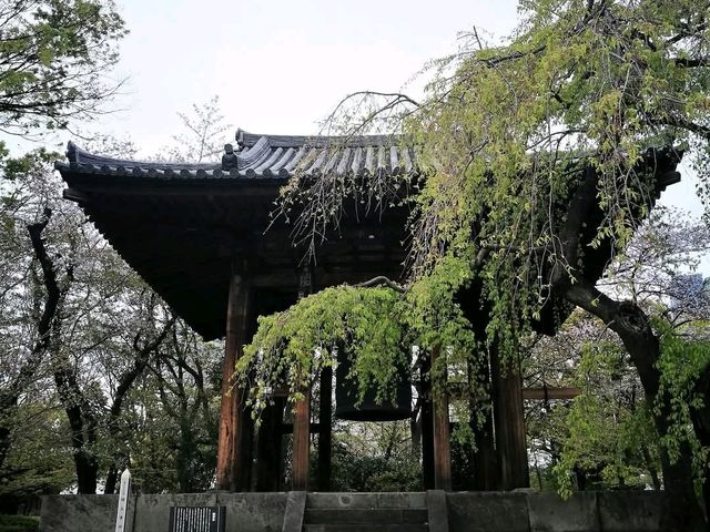 Daytrip to Shiba Park